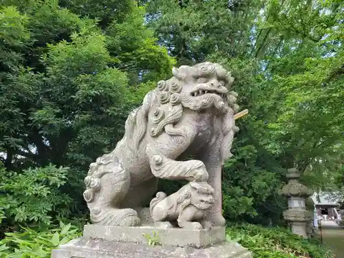 神炊館神社 ⁂奥州須賀川総鎮守⁂の狛犬