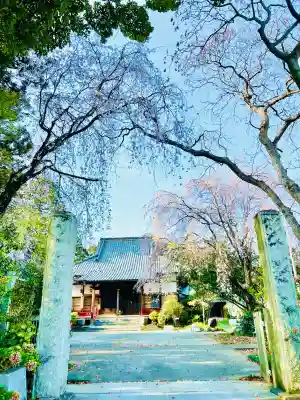 南光寺(笠懸不動尊)の{uncategorized: "未分類", other: "その他", undefined: "問題あり", building: "その他建物", grave: "お墓", sacred_gate: "鳥居", guardian: "狛犬", statue: "像", buddha: "仏像", history: "歴史", nature: "自然", garden: "庭園", animal: "動物", pagoda: "塔", temizu: "手水舎", mountain_gate: "山門・神門", sanctuary: "本殿・本堂", subordinate: "末社・摂社", art: "芸術", scenery: "景色", jizo: "地蔵", ema: "絵馬", goshuin: "御朱印", omikuji: "おみくじ", items: "授与品その他", amulet: "お守り", goshuincho: "御朱印帳", eats: "食事", festival: "お祭り", votive_dance: "神楽", shichigosan: "七五三参", wedding: "結婚式", experience: "体験その他", initially: "初詣", around: "周辺", anti_infection: "感染症対策"}