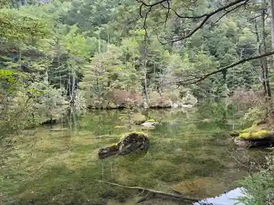 穂高神社奥宮の自然