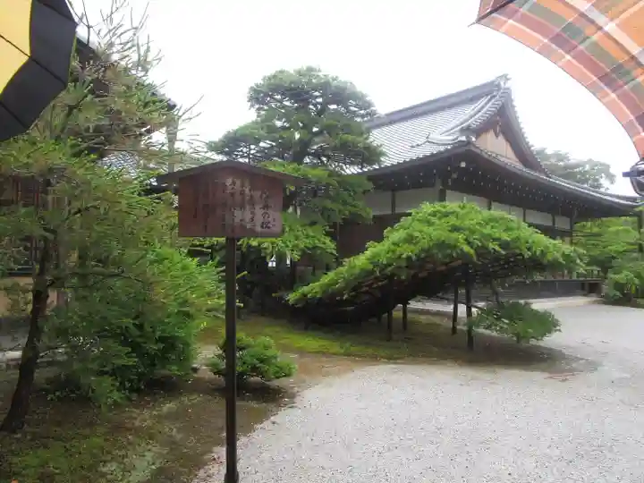 鹿苑寺(金閣寺)(京都府)