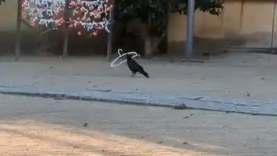 三津厳島神社(愛媛県)