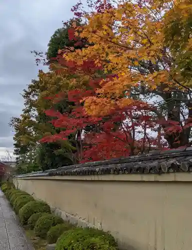 大仙院(京都府)