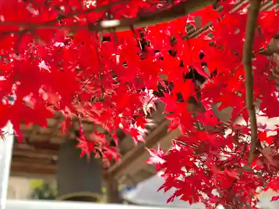清水寺(長野県)