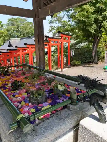 住吉神社の手水