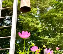 白鳥神社(長野県)