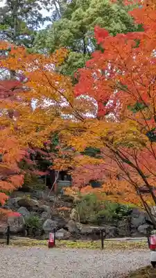長岡天満宮(京都府)