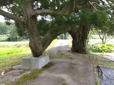 春日神社(福井県)
