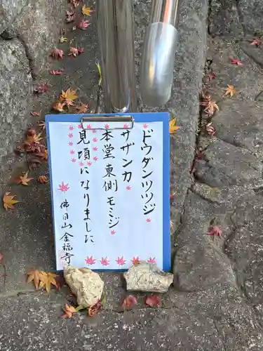 金福寺(京都府)