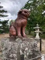 吉備津彦神社の狛犬