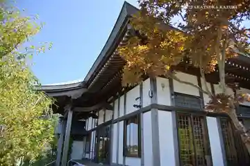 大泉寺の本殿・本堂