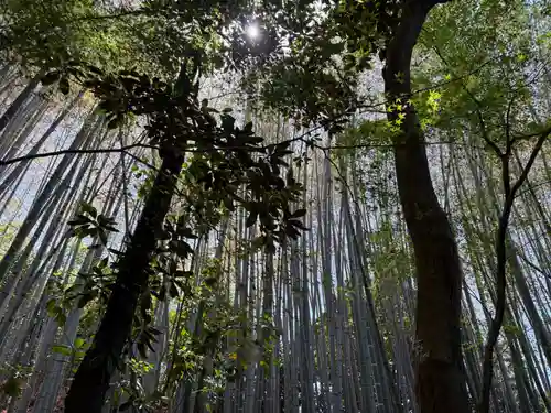 石峯寺(京都府)