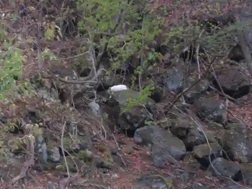湯元温泉神社(栃木県)