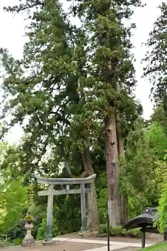 妙義神社(群馬県)