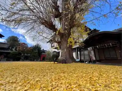 和田神社(滋賀県)