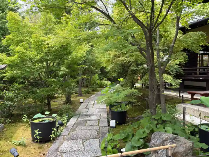勝林寺の{uncategorized: "未分類", other: "その他", undefined: "問題あり", building: "その他建物", grave: "お墓", sacred_gate: "鳥居", guardian: "狛犬", statue: "像", buddha: "仏像", history: "歴史", nature: "自然", garden: "庭園", animal: "動物", pagoda: "塔", temizu: "手水舎", mountain_gate: "山門・神門", sanctuary: "本殿・本堂", subordinate: "末社・摂社", art: "芸術", scenery: "景色", jizo: "地蔵", ema: "絵馬", goshuin: "御朱印", omikuji: "おみくじ", items: "授与品その他", amulet: "お守り", goshuincho: "御朱印帳", eats: "食事", festival: "お祭り", votive_dance: "神楽", shichigosan: "七五三参", wedding: "結婚式", experience: "体験その他", initially: "初詣", around: "周辺", anti_infection: "感染症対策"}