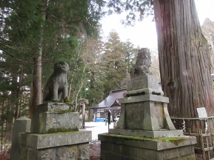 戸隠神社中社の狛犬