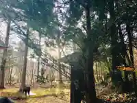 早池峰神社の自然