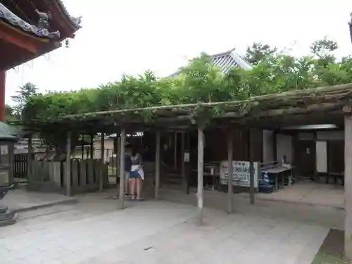 興福寺(奈良県)