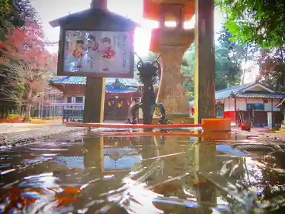 獅子山八幡宮の手水舎