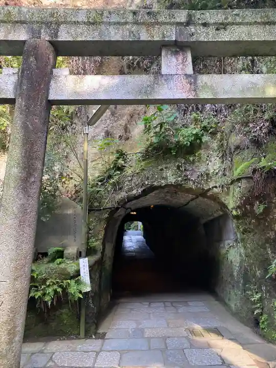 銭洗弁財天宇賀福神社(神奈川県)