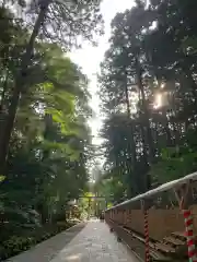 彌彦神社(新潟県)