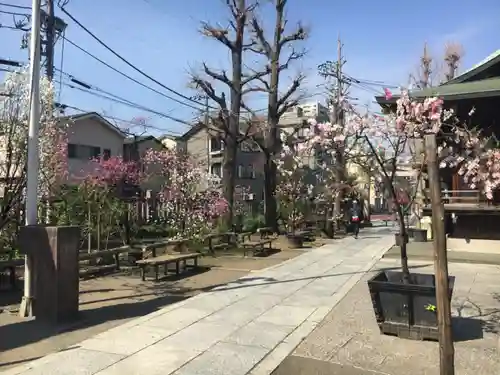 素盞雄神社のその他建物