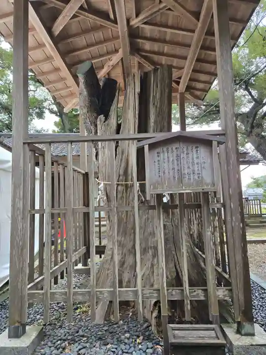 泉神社(茨城県)