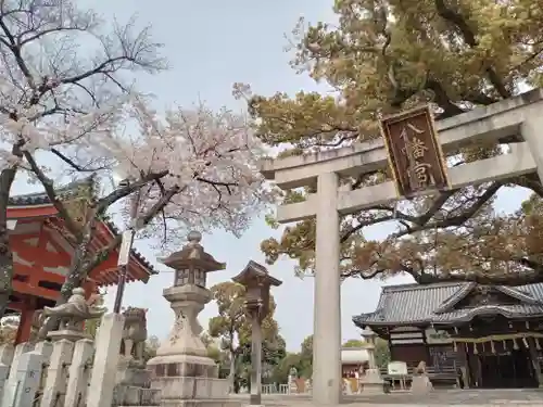 百舌鳥八幡宮(大阪府)