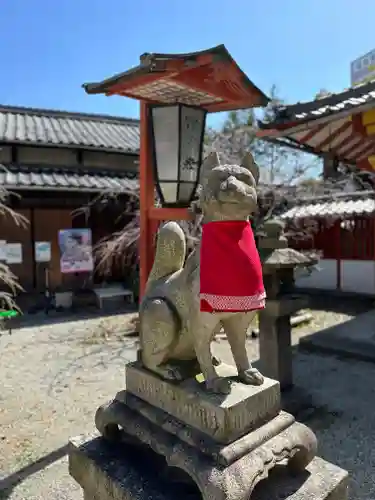 源九郎稲荷神社の狛犬