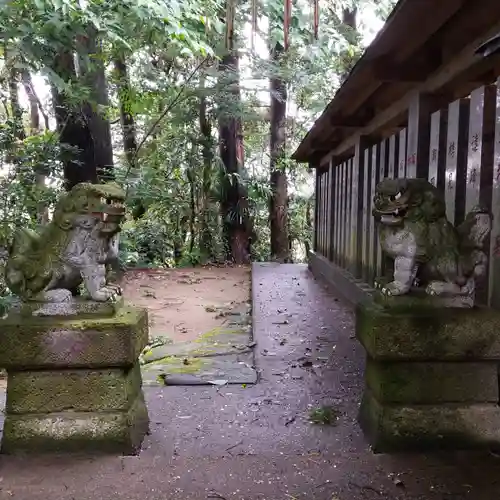 素鵞熊野神社の狛犬