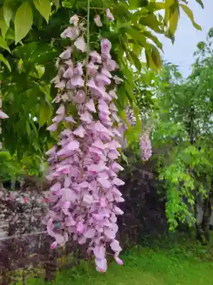 和気神社(鹿児島県)