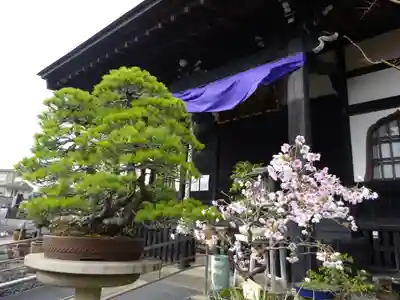 常泉寺の本殿・本堂