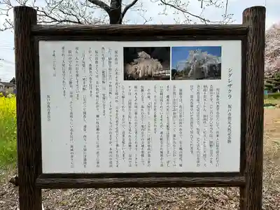 慈眼寺(埼玉県)