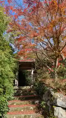 桂徳院(京都府)