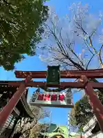 須賀神社の初詣