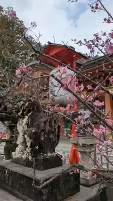 長岡天満宮の狛犬