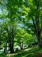 土津神社|こどもと出世の神さまの自然