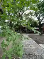 笠䅣稲荷神社(神奈川県)