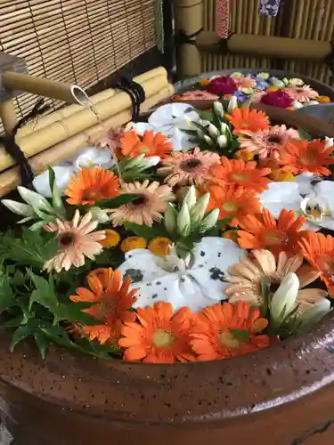 多賀神社の手水