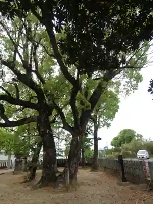 鹿島神社(熊本県)