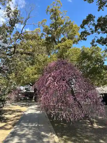 屯倉神社(大阪府)