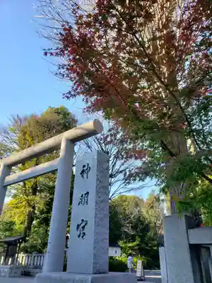 阿佐ヶ谷神明宮(東京都)