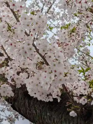 宝仙寺(東京都)