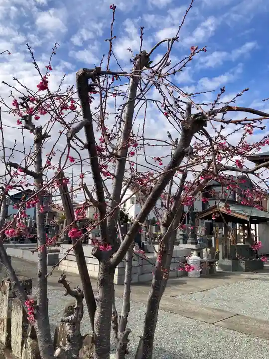 長善寺(神奈川県)