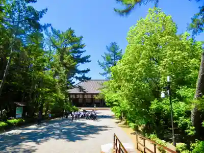 唐招提寺(奈良県)