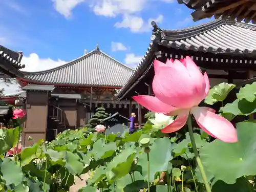 中山寺(兵庫県)