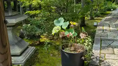 勝林寺(京都府)