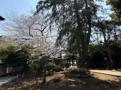 前野熊野神社(東京都)