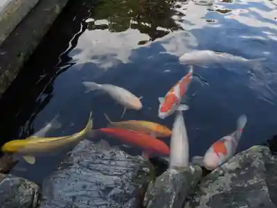 霊山寺(徳島県)
