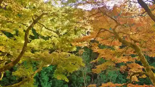 貴船神社の周辺